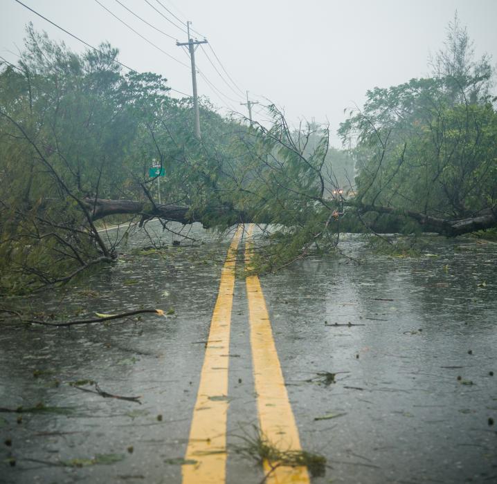 Hurricane cleanup